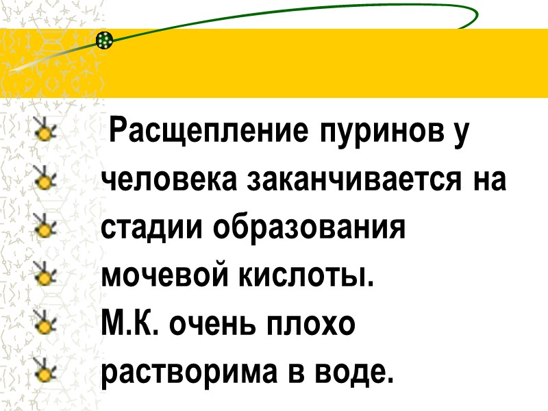 Расщепление пуринов у      человека заканчивается на   